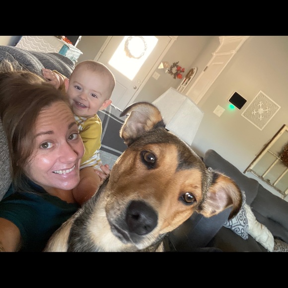 Hi! I’m cleaning house- take a look! - Picture 5 of 6